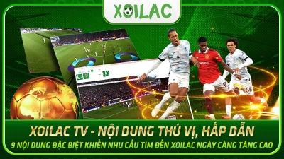 Phongkhamago.com - Thiên đường bóng đá sân cỏ cho fan hâm mộ